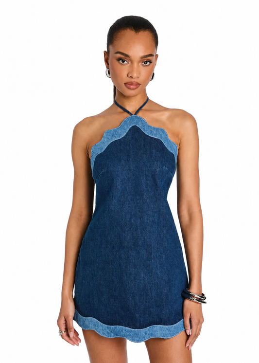 TASIA DENIM DRESS
