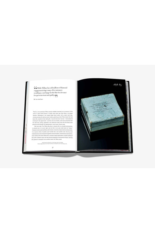 TIFFANY & CO. VISION AND VIRTUOSITY