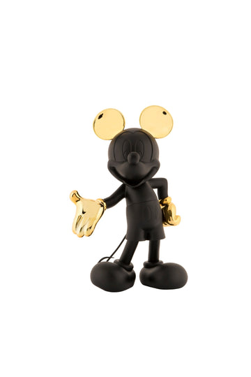 MICKEY WELCOME LD STUDIO