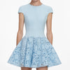 CREPE LACE MINI DRESS