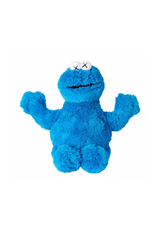 kaws COOKIE MONSTER
